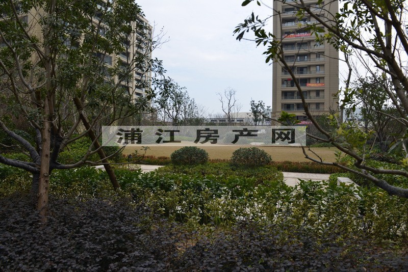 实景图