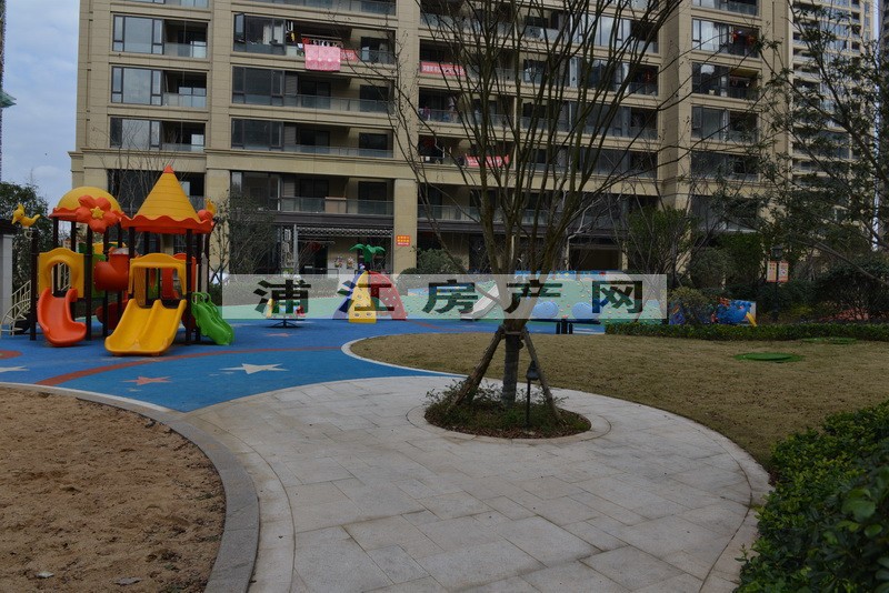 实景图