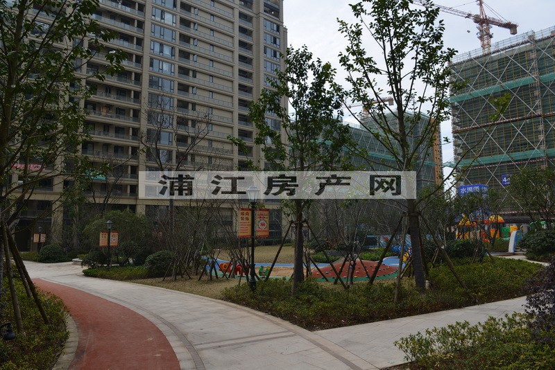 实景图