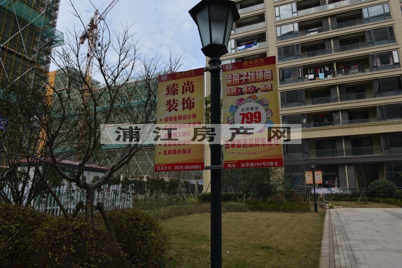 实景图