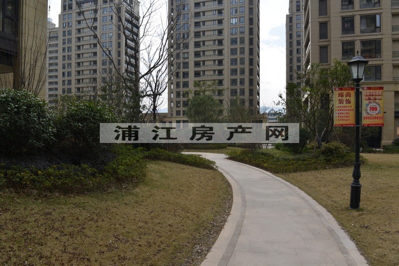 实景图
