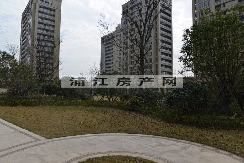 实景图