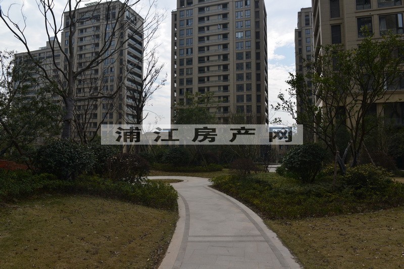 实景图