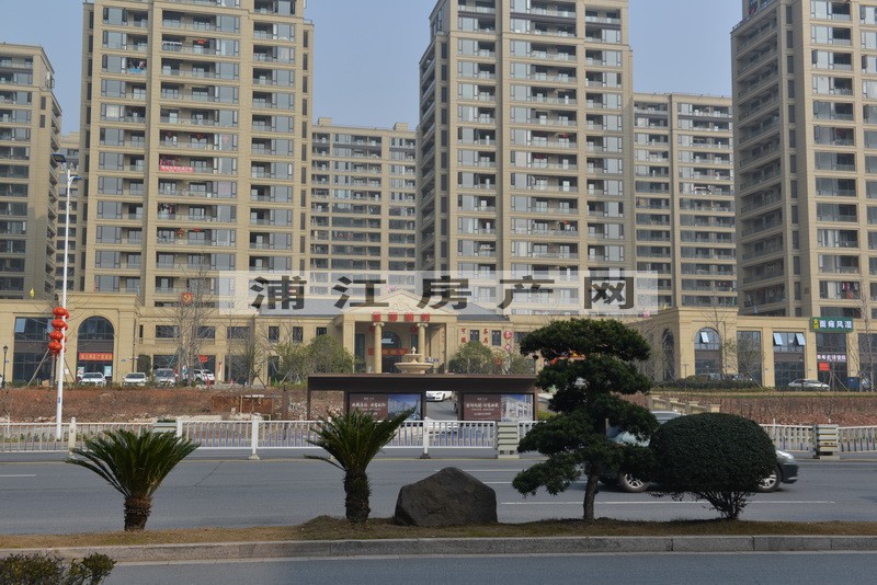实景图