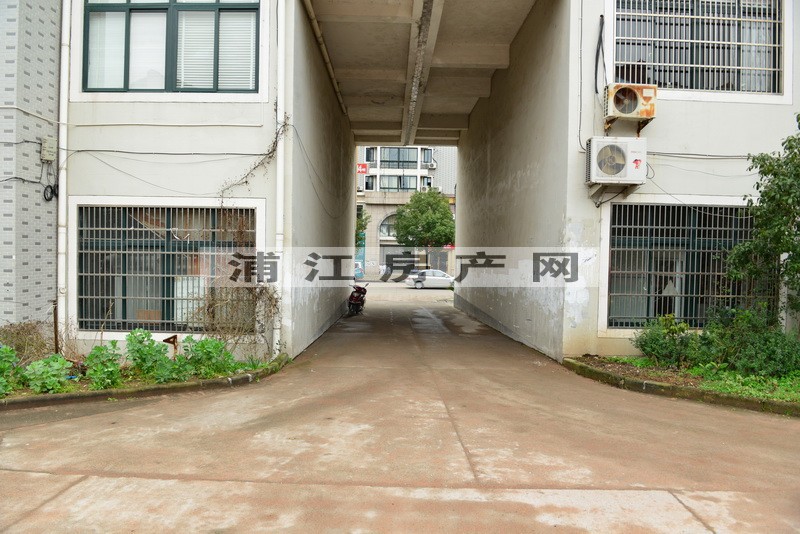实景图