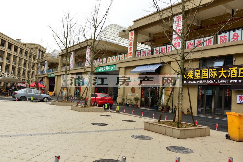 实景图