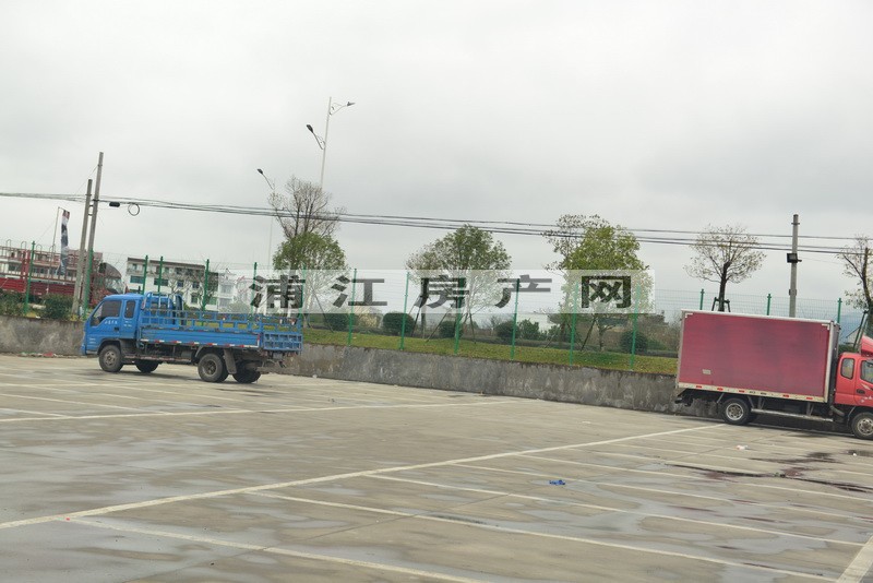 实景图