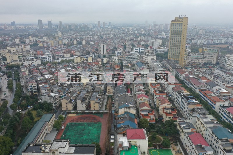 实景图