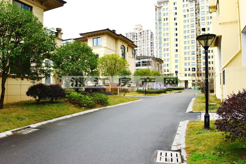 实景图