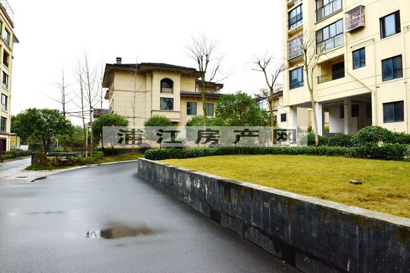 实景图