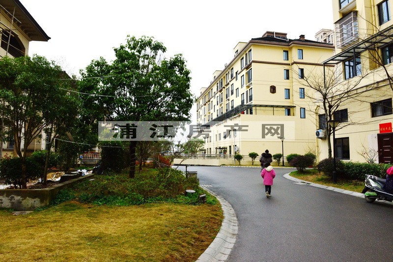 实景图