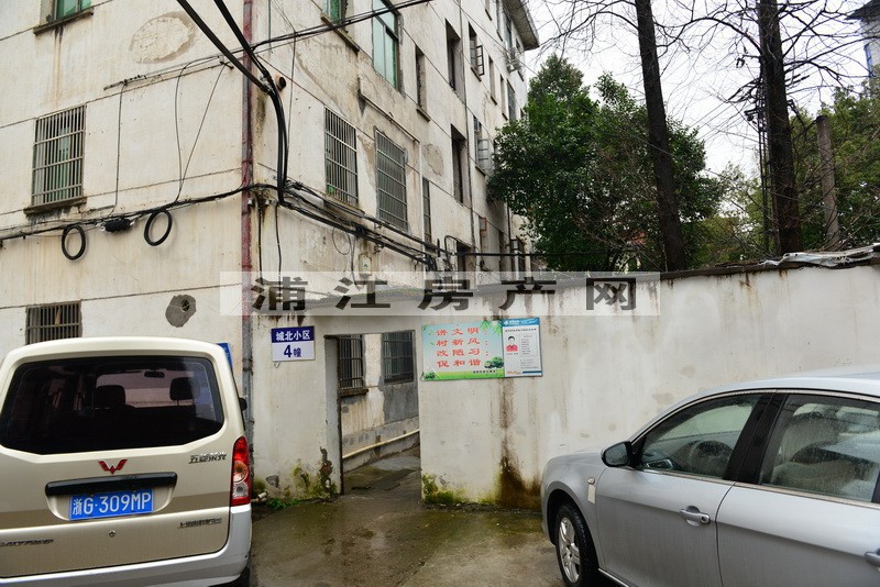实景图