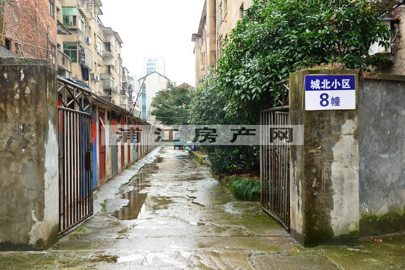 实景图
