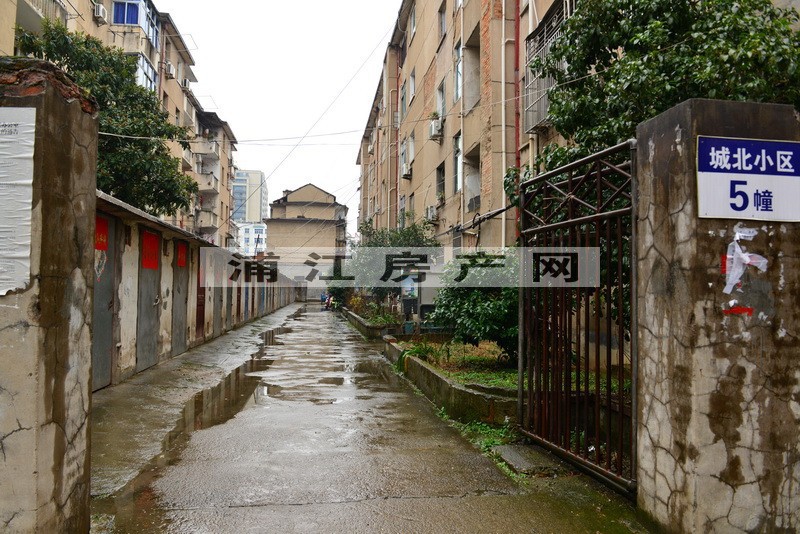 实景图