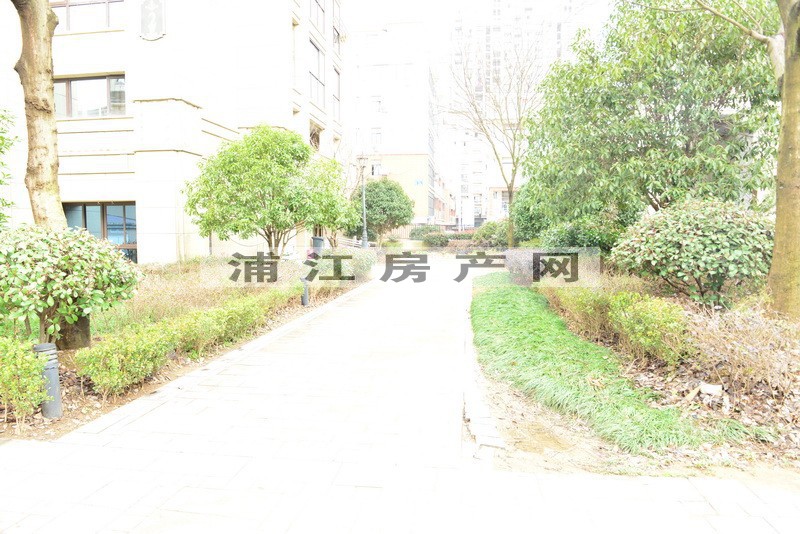 实景图