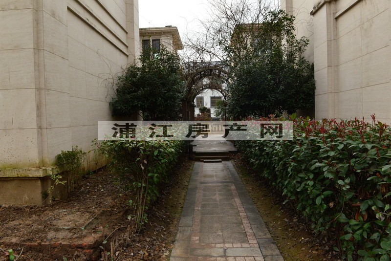 实景图