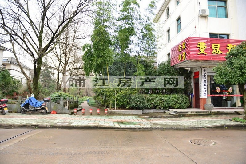 实景图