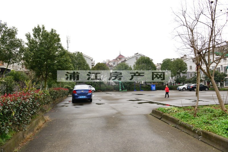 实景图