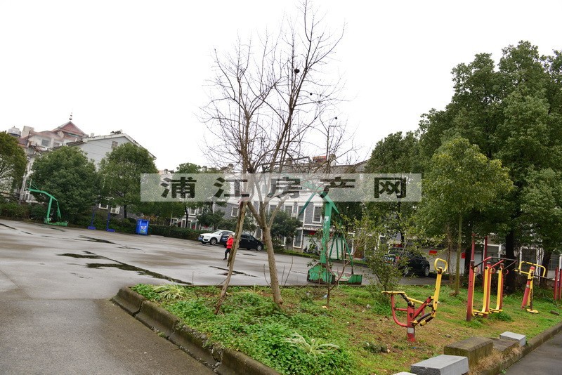 实景图