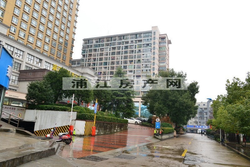 实景图