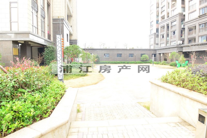 实景图