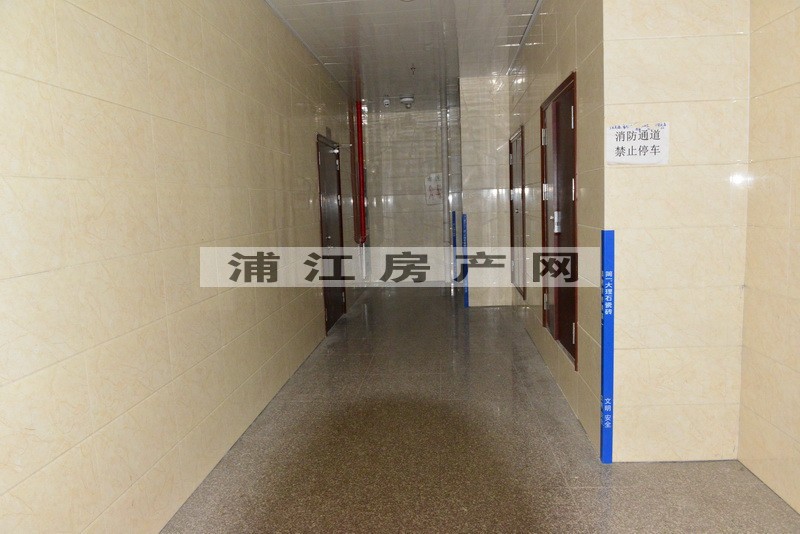 实景图