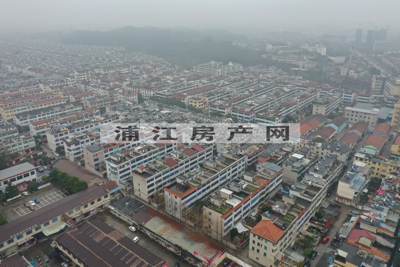 实景图