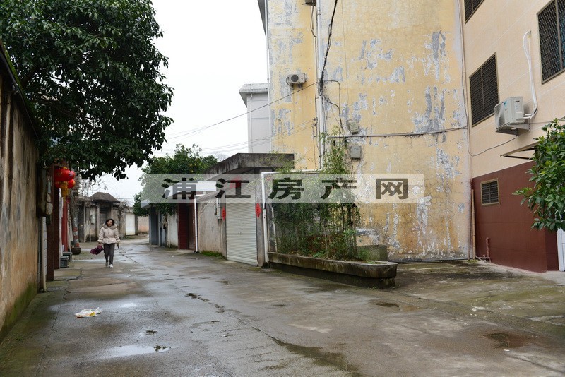 实景图