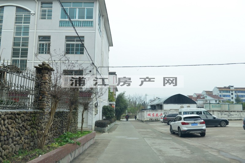 实景图