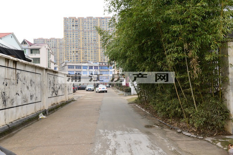 实景图