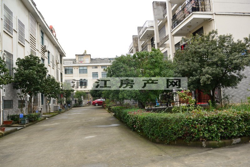 实景图