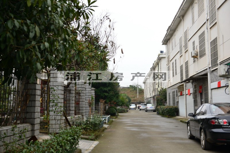 实景图