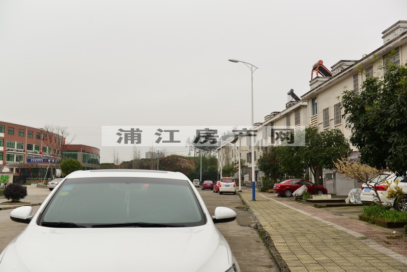 实景图