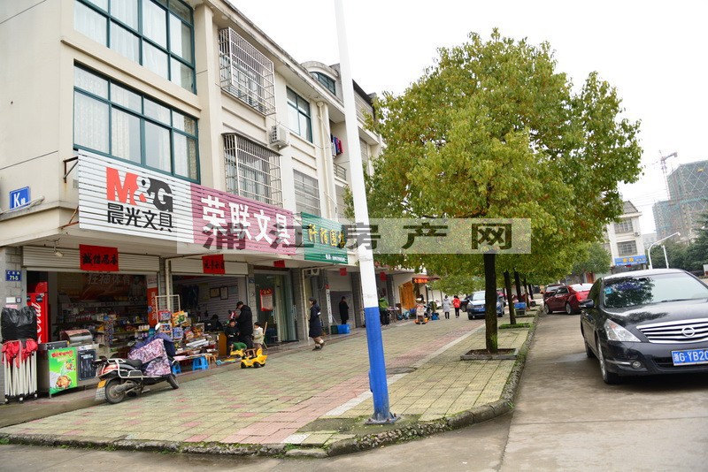 实景图