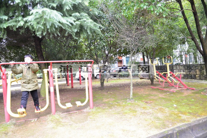 实景图