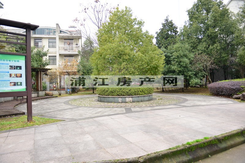 实景图
