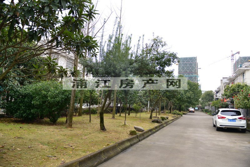 实景图