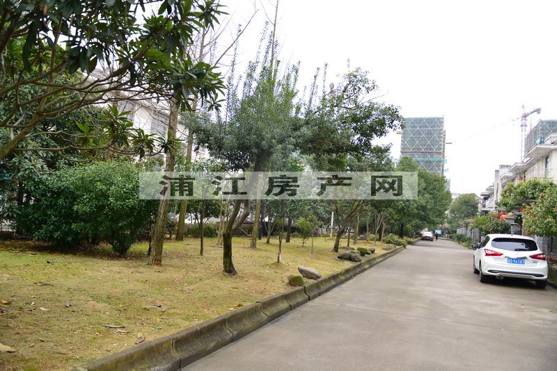 实景图