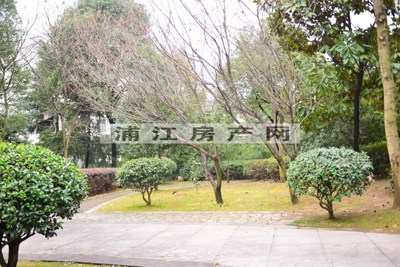 实景图
