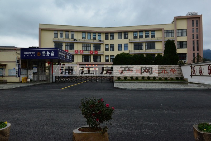 实景图