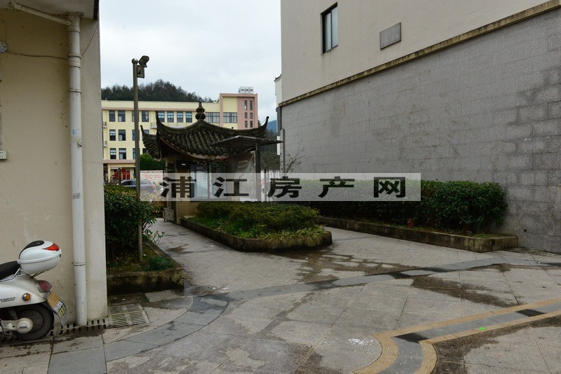 实景图