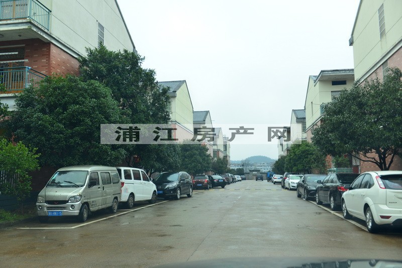 实景图