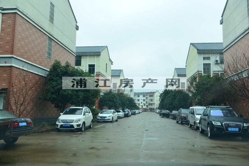 实景图