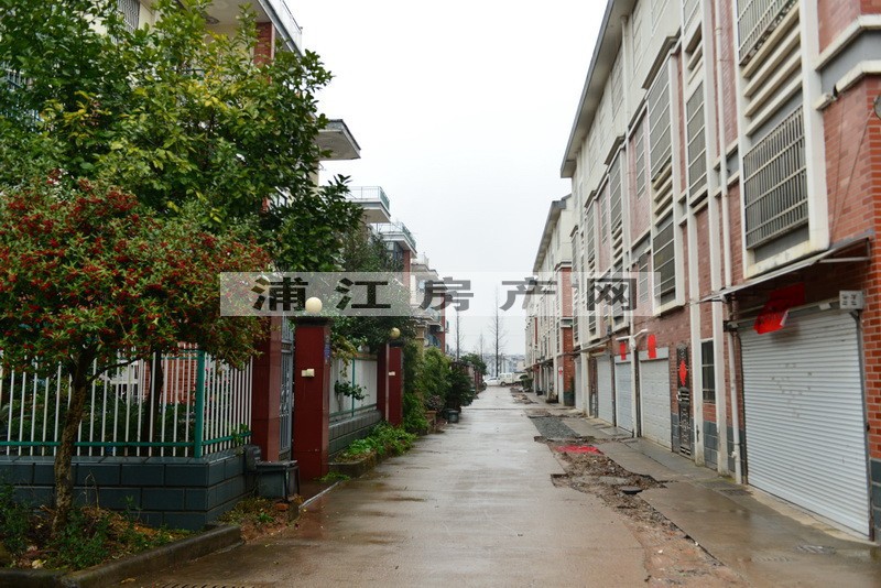 实景图