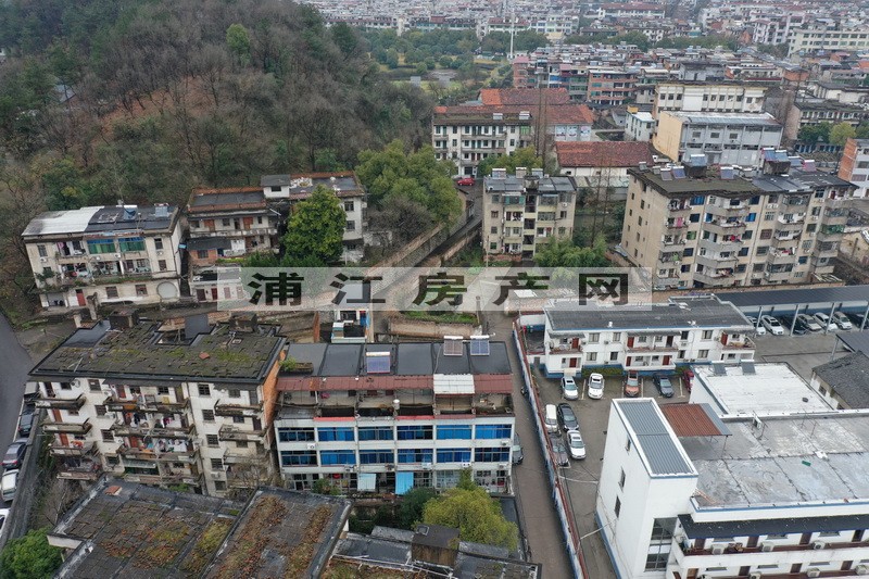 实景图