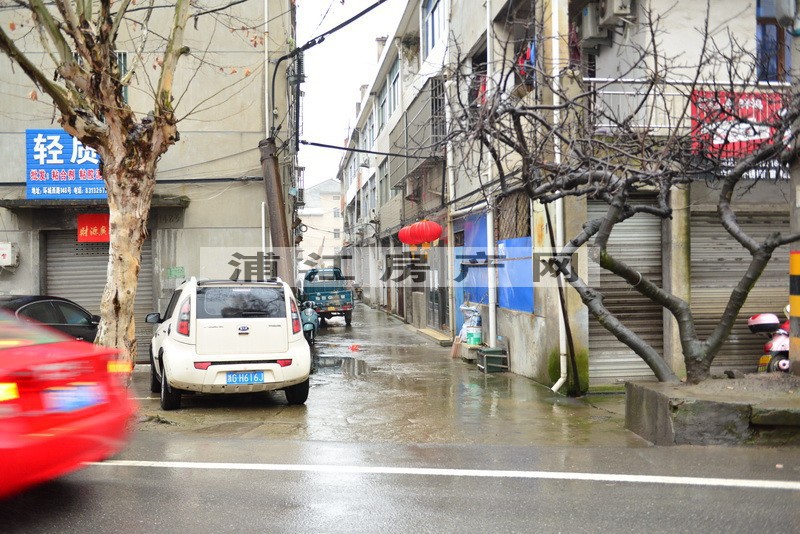 实景图