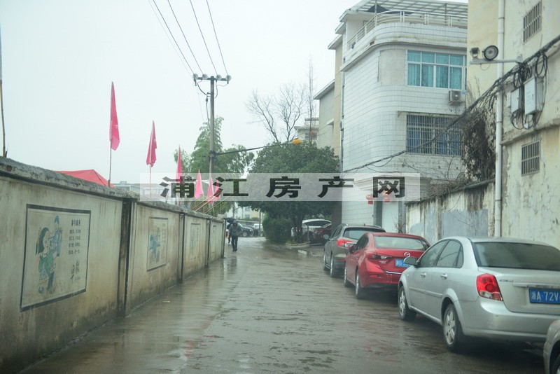 实景图
