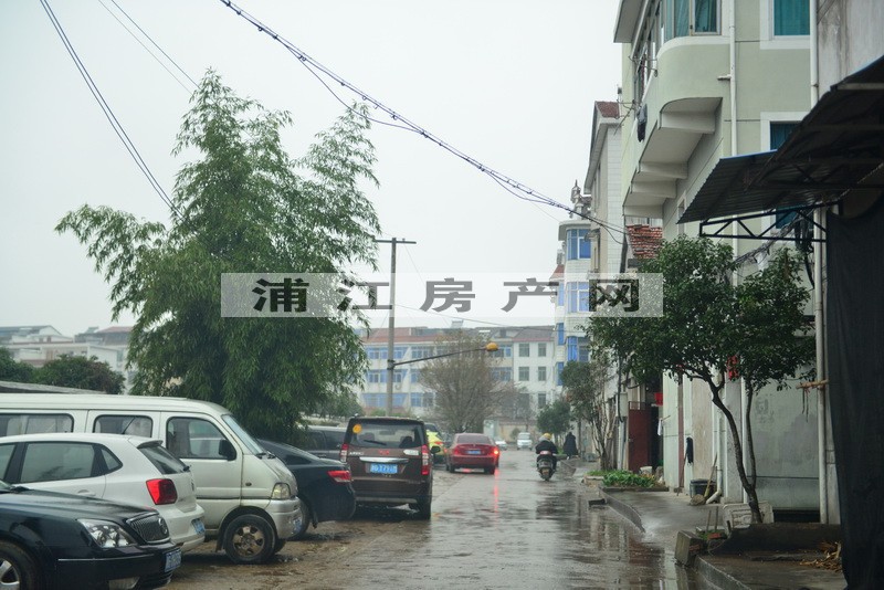 实景图