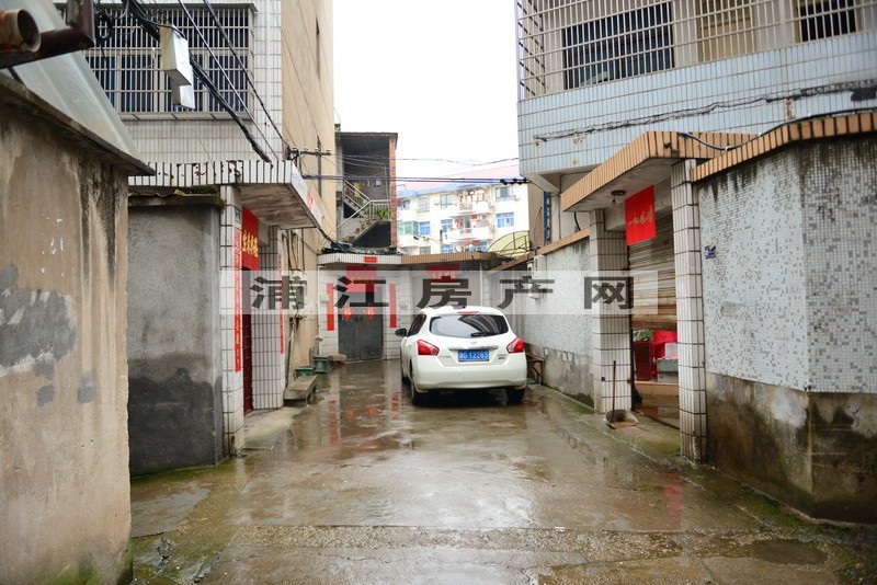 实景图