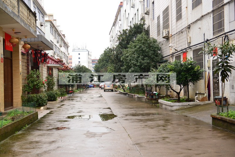 实景图